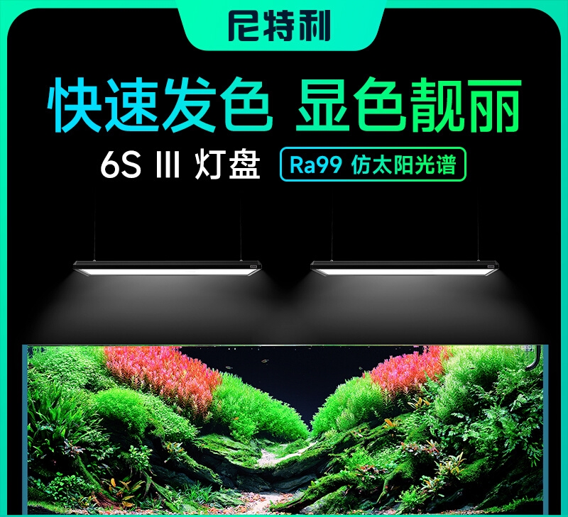 尼特利 Netlea【AT6s III】