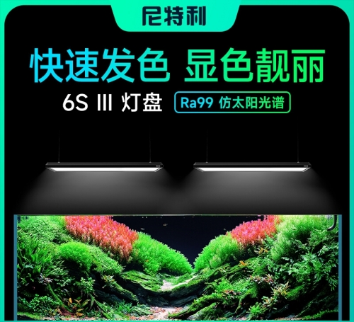尼特利 Netlea【AT6s III】