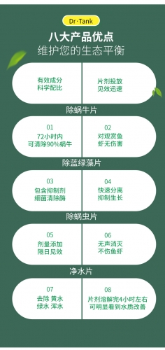坦克專家 Dr.Tank【發泡碇系列】