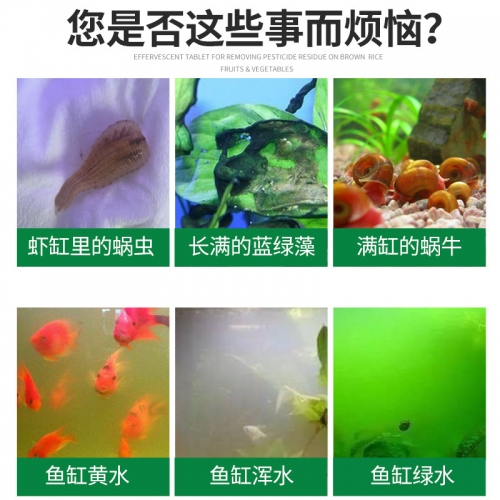 坦克專家 Dr.Tank【發泡碇系列】