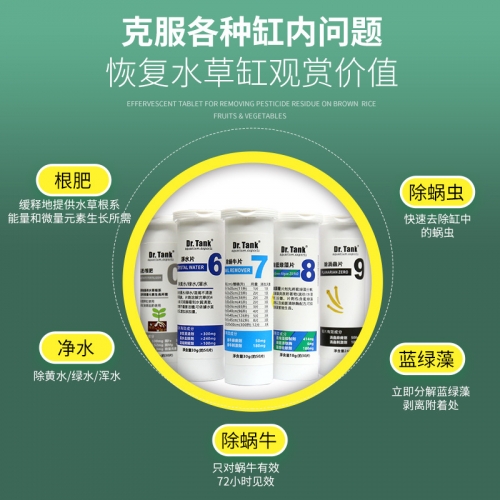 坦克專家 Dr.Tank【發泡碇系列】