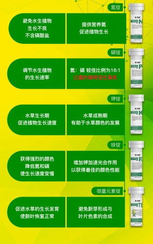 坦克專家 Dr.Tank【發泡碇系列】